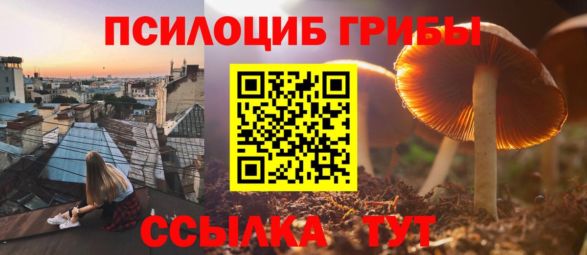Псилоцибиновые грибы Psilocybe  Вход с VPN  Тольятти  цена наркотик  Галлюциногенные грибы Psilocybe 