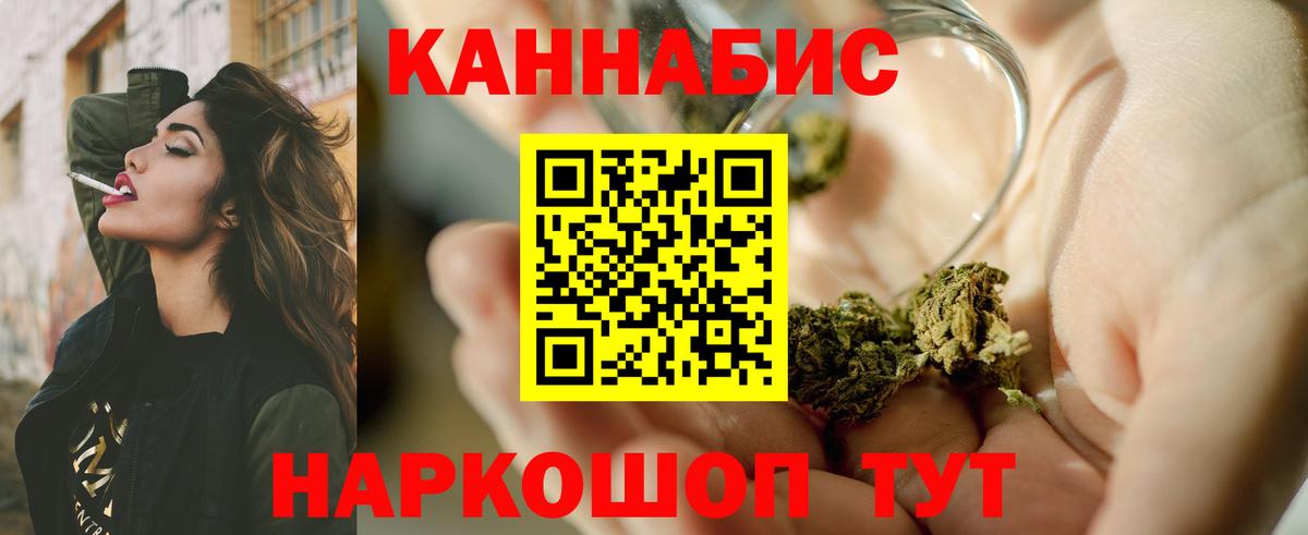 Бошки Шишки планчик Тольятти